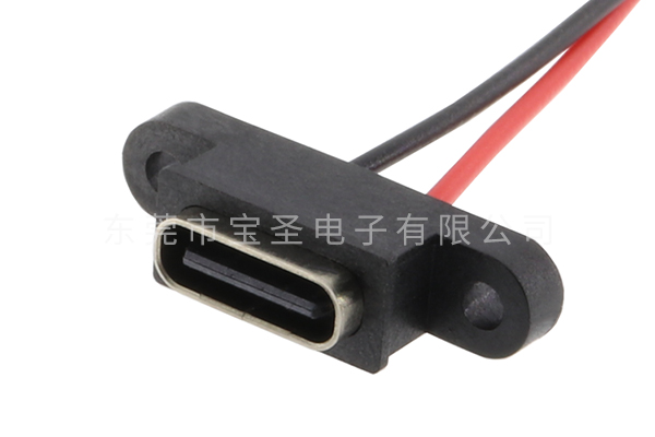 防水TYPE C 板上 2PIN 帶耳 焊線BS-USBC-1213-L 防水TYPE C 板上 2PIN 帶耳 焊線BS-USBC-1213-L