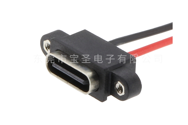 防水TYPE C 板上 2PIN 帶螺母 焊線BS-USBC-1215-L 防水TYPE C 板上 2PIN 帶螺母 焊線BS-USBC-1215-L